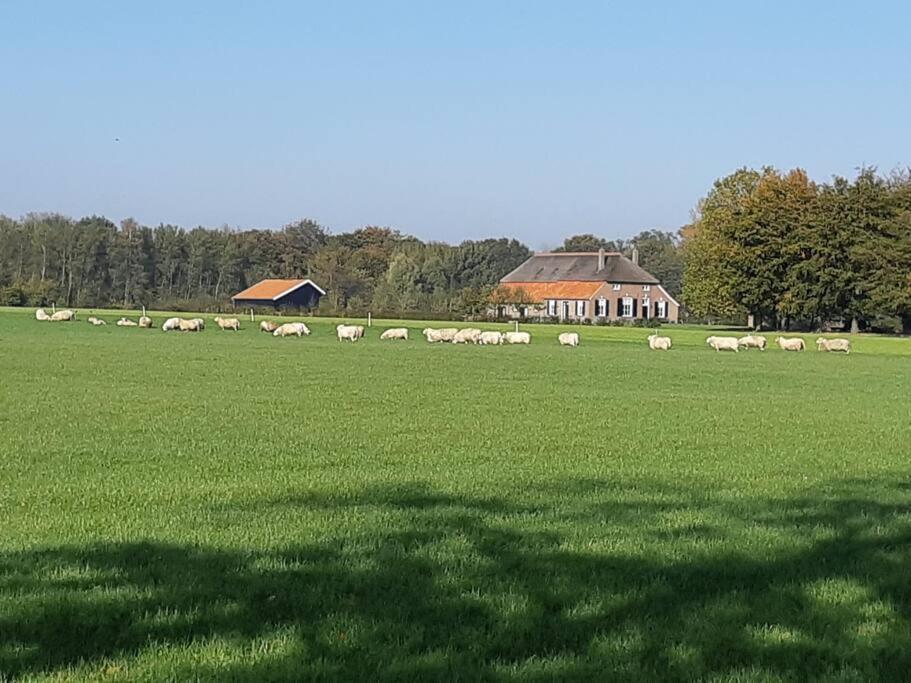 B&B Joostink In Vorden Kültér fotó